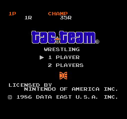 Tag Team Wrestling - NES - Nintendo Entertainment System - Titles