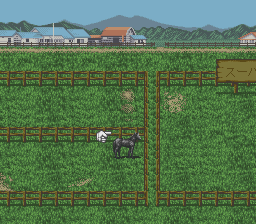 Super Keiba 2 - SFC - Nintendo Super Famicom - Ingames